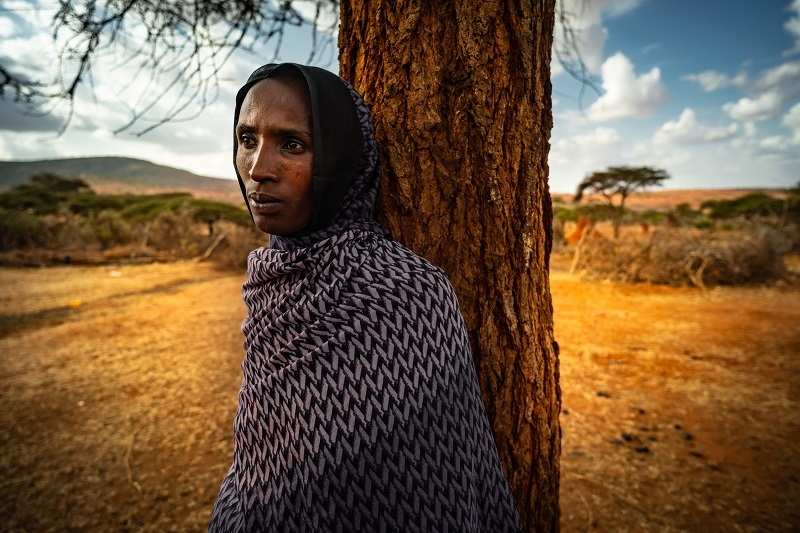Äthiopien: Sules Tiere sind alle tot, ihre Familie hungert (Quelle: Jakob Studnar)
