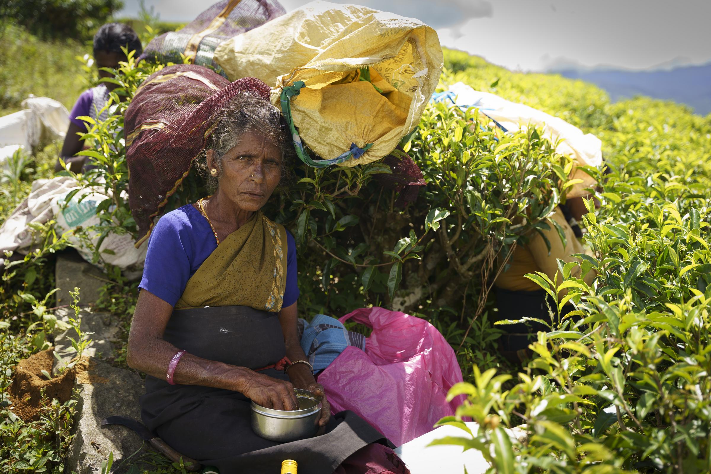 Eine Teepflückerin macht im Schatten von Teepflanzen Pause (Quelle: Christian Nusch) Teepflücken ist ein Knochenjob – die Pflückerinnen sind dankbar für etwas Ruhe und Schatten während ihrer Pause (Foto: Christian Nusch)