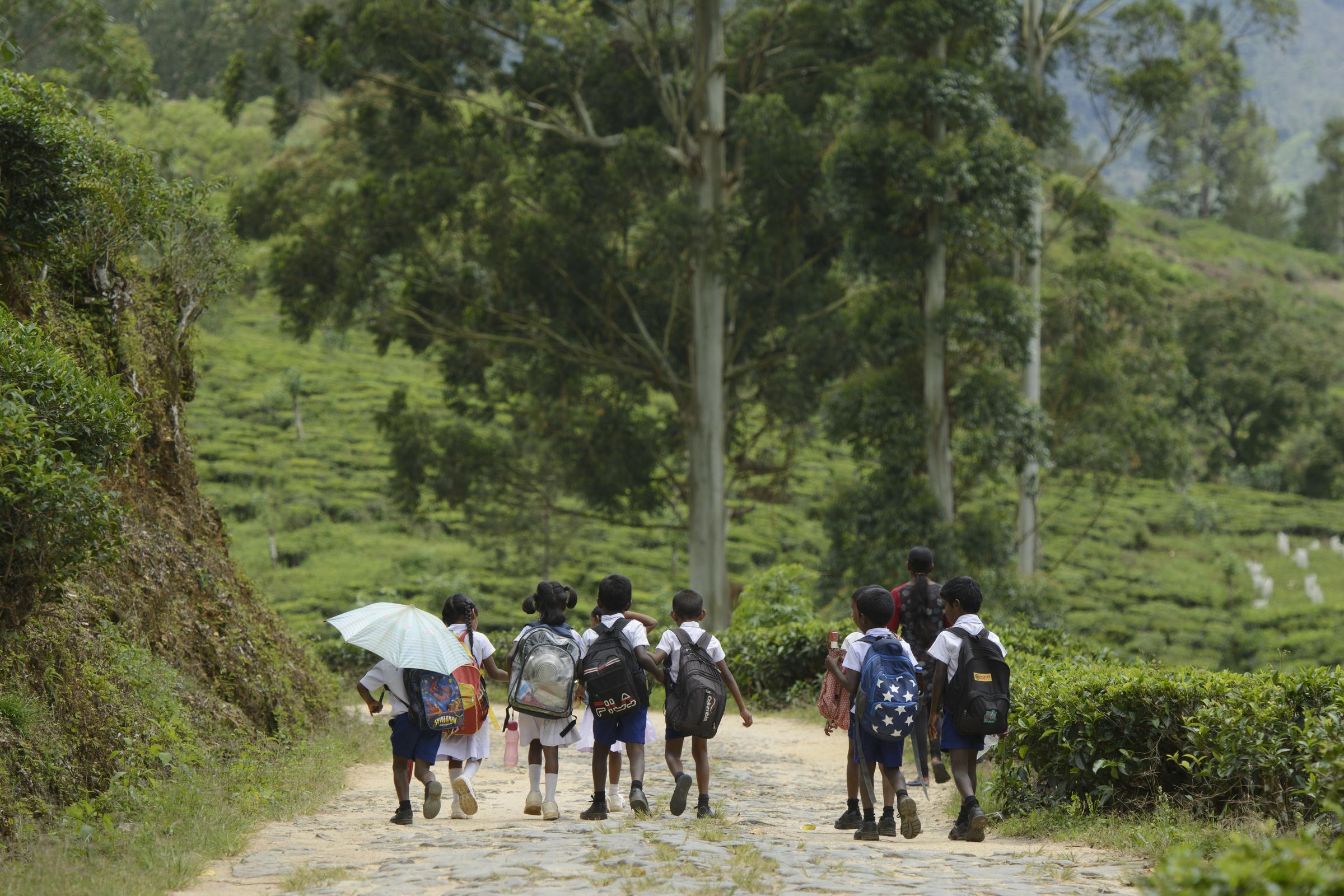 Sri Lanka: Kinder auf dem Weg zur Schule (Quelle: Christian Nusch) Wenn man in einer Gruppe zur Schule geht, ist man vor Leopardenangriffen besser geschützt (Foto: Christian Nusch)