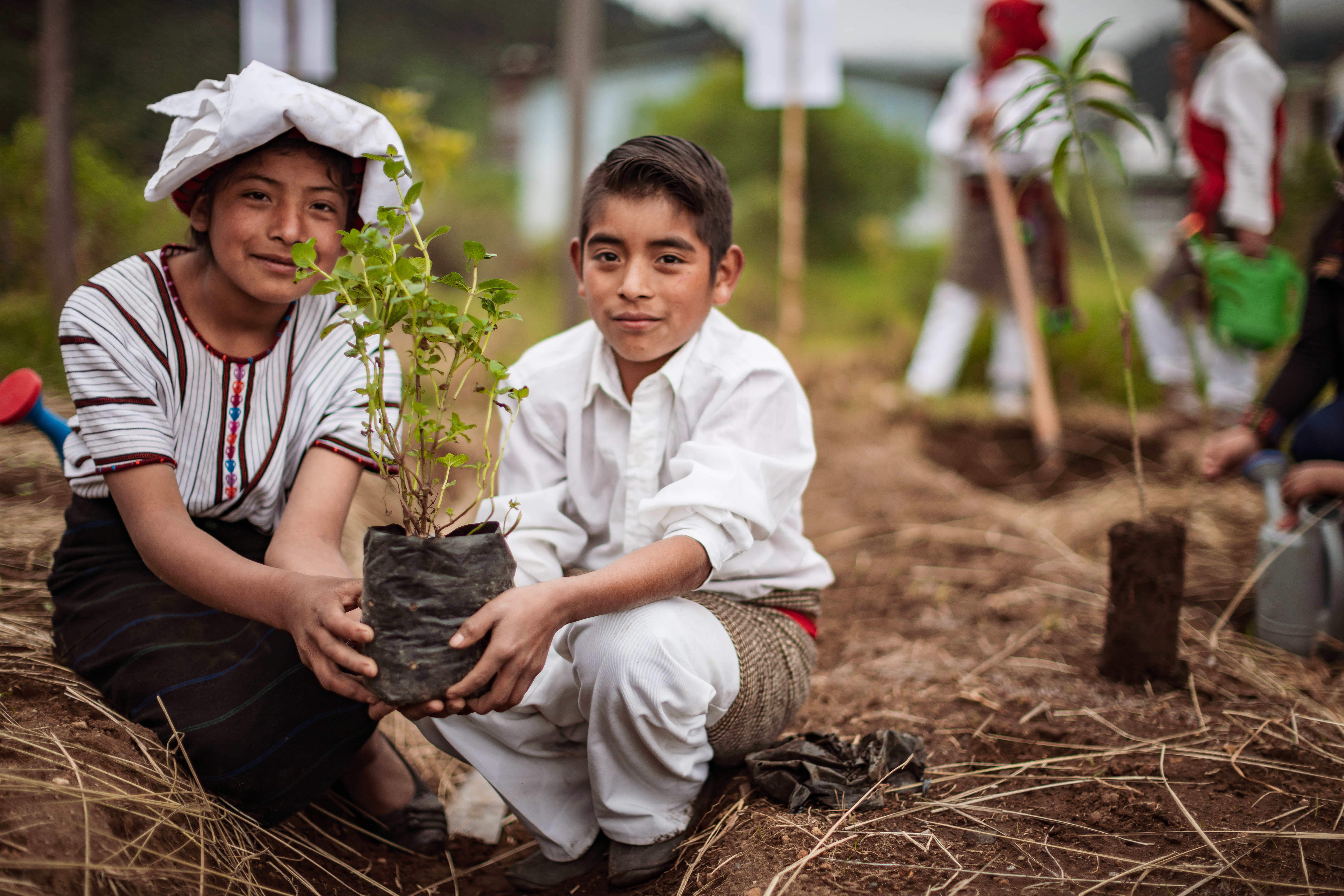 Ein Mädchen und ein Jungen hocken auf einer Wiese und pflanzen einen Baum ein. (Quelle: Jakob Studnar)